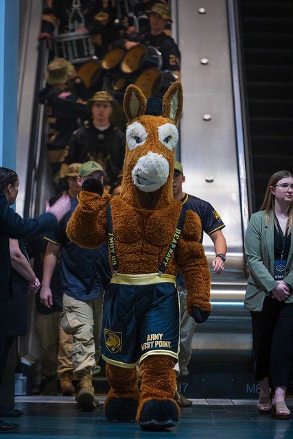 Army West Point mule mascot